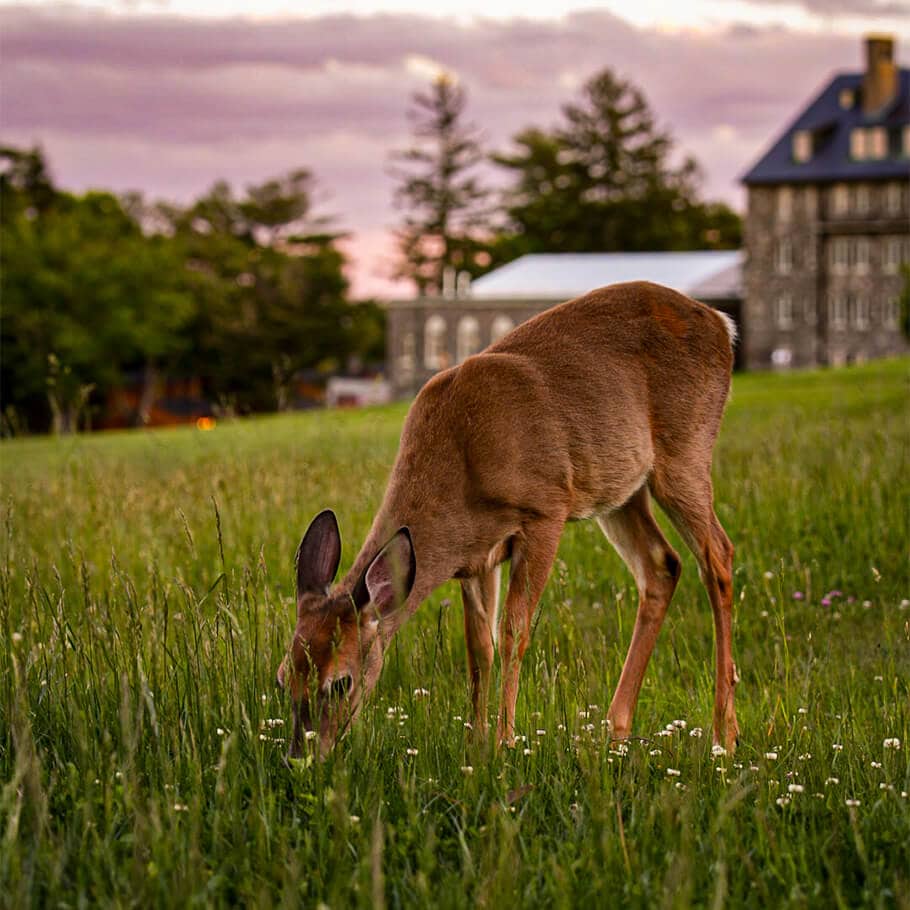 Contact | Skytop Lodge | Poconos Luxury Resort and Hotel